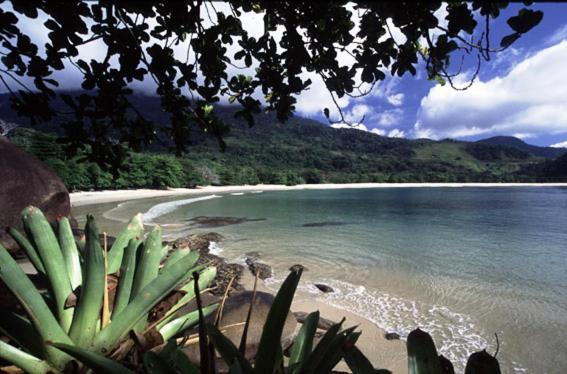Recanto Tangara - Chale - Praia Do Felix Ubatuba Exterior foto